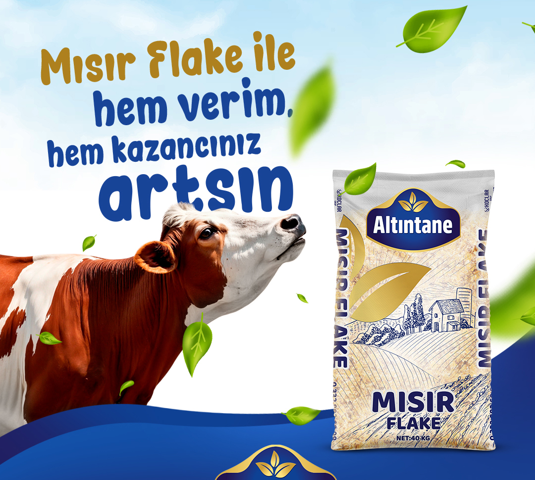 flake